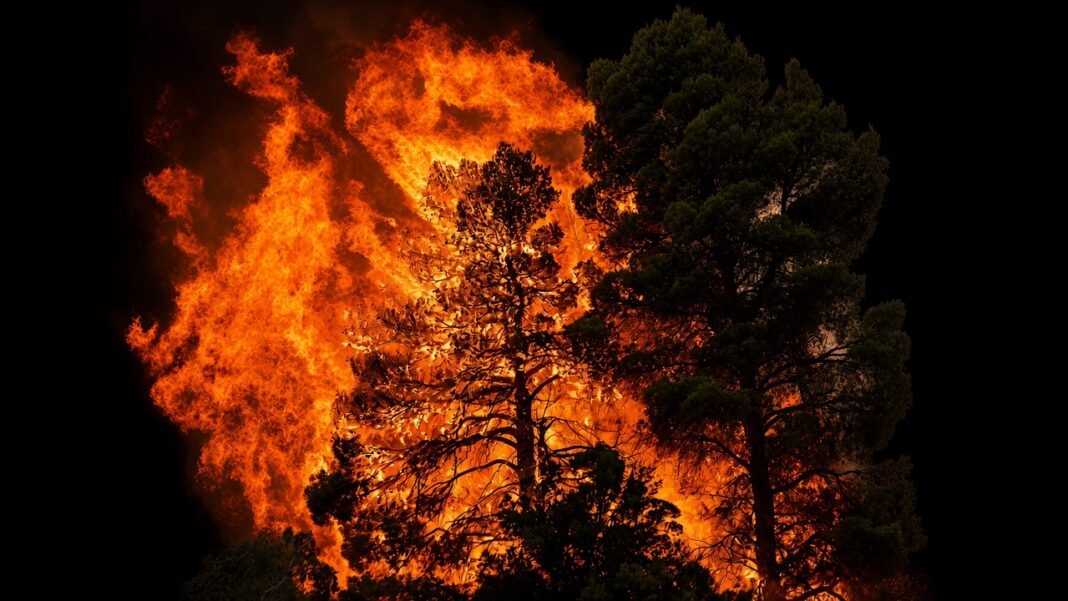 Europe Wildfires Grow as Heatwave and Dry Weather Continue Europe wildfires continue during heatwave and dry weather